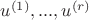 $u^{(1)},...,u^{(r)}$