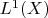 $L^1(X)$