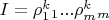 $I=\rho_1^k_1...\rho_m^k_m$
