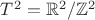 $T^2 = \mathbb{R}^2/\mathbb{Z}^2$