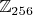 $\mathbb Z_{256}$