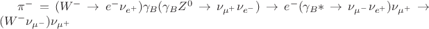 $\pi^- = (W^- \to e^-\nu_{e^+})\gamma_B(\gamma_BZ^0 \to\nu_{\mu^+}\nu_{e^-}) \to e^-(\gamma_B* \to \nu_{\mu^-}\nu_{e^+})\nu_{\mu^+} \to (W^-\nu_{\mu^-})\nu_{\mu^+}$