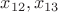 $x_{12}, x_{13}$