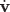 $\dot{\textbf{v}}$