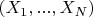 $(X_1, ..., X_N)$