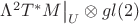 $\Lambda^2T^*M\big|_U\otimes gl(2)$