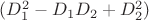 $(D^2_1-D_1D_2+D^2_2)$