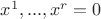 $x^1,...,x^r=0$