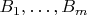 $B_1, \dots, B_m$