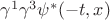 $\gamma^1\gamma^3\psi^*(-t,x)$ $\gamma^1\gamma^3\psi^*(-t,x)$
