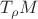 $T_\rho M$