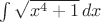 $\int\sqrt{x^4+1}\,dx$