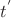$t^{'}$