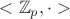 $<\mathbb{Z}_p, \cdot>$