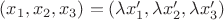 $(x_1,x_2,x_3) = (\lambda x_1', \lambda x_2', \lambda x_3') $