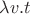 $\lambda v.t$