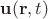 $\mathbf{u}(\mathbf{r},t)$