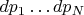 $dp_1\dots dp_N$