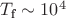 $T_{\text{f}} \sim 10^{4}$