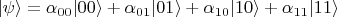 $|\psi\rangle = \alpha_{00} |00\rangle + \alpha_{01} |01\rangle + \alpha_{10} |10\rangle + \alpha_{11} |11\rangle$