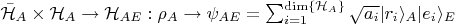 $\bar{\mathcal{H}}_A\times\mathcal{H}_A\rightarrow\mathcal{H}_{AE}: \rho_A \rightarrow \psi_{AE}=\sum_{i=1}^{\operatorname{dim}\{\mathcal{H}_A\}} \sqrt{a_i}|r_i\rangle_A |e_i\rangle_E$