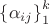 $\left\{\alpha_{ij} \right\}_1^k$