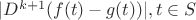 $|D^{k+1}(f(t)-g(t))|,t \in S$ $|D^{k+1}(f(t)-g(t))|,t \in S$