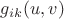$g_{ik}(u,v)$