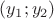 $(y_1;y_2)$