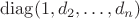 $\mathop{\mathrm{diag}}(1,d_2,\ldots,d_n)$