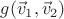 $g(\vec v_1 , \vec v_2)$