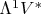 $\Lambda^{1} V^{*}$
