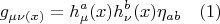 $$g_{\mu\nu (x)}=h_{\mu}^{a}(x) h_{\nu}^{b}(x)\eta_{ab}\quad(1)$$