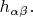 $h_{\alpha \beta}.$