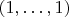 $(1, \dots, 1)$
