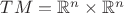 $TM=\mathbb{R}^n\times \mathbb{R}^n$