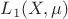 $L_1(X,\mu)$