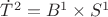$\dot {T}^2=B^1\times S^1$