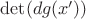 $\det(dg(x'))$