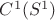 $C^1(S^1)$
