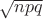 $\sqrt{npq}$