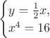 $\ \begin{cases} y = \frac 1 2 x,\\ x^4 = 16 \end{cases}  $