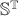 $\mathbb{S}^{\mathbb{T}}$