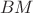 \[
BM
\]