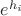 $e^{h_i}$