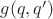 $g(q,q')$