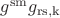 $g^{\operatorname{sm}}g_{\operatorname{rs,k}}$