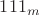 $111_m$