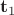 $\mathbf t_1$