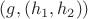 $(g,(h_{1},h_{2}))$
